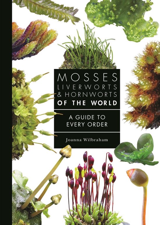 A Guide to Every Family - Mosses, Liverworts, and Hornworts  ... - cover