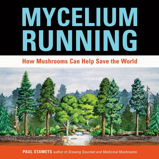 Mycelium Running - cover