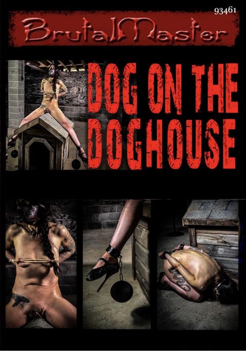 Brutal Master - Dog On The Doghouse - 243004