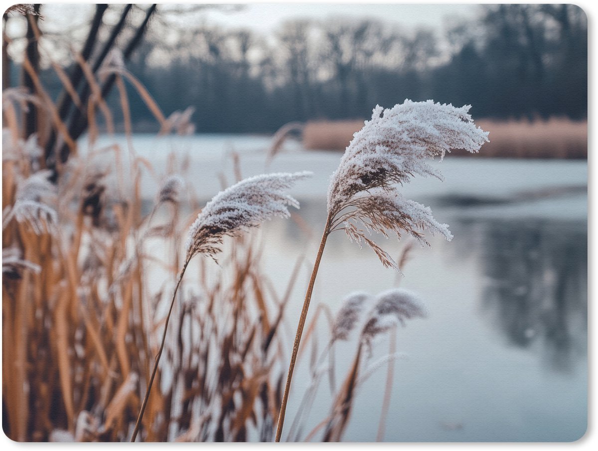 Muismat 23x19 cm - Mousepad Riet - Gras - Natuur - Winter - Meer - Muismatten