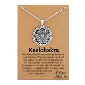 Collier Chakra de la Gorge (Vishuddha) sur carte cadeau - Talisman Argent - Acier Inoxydable - Cadeau Spirituel - 60 cm - Pax Amare