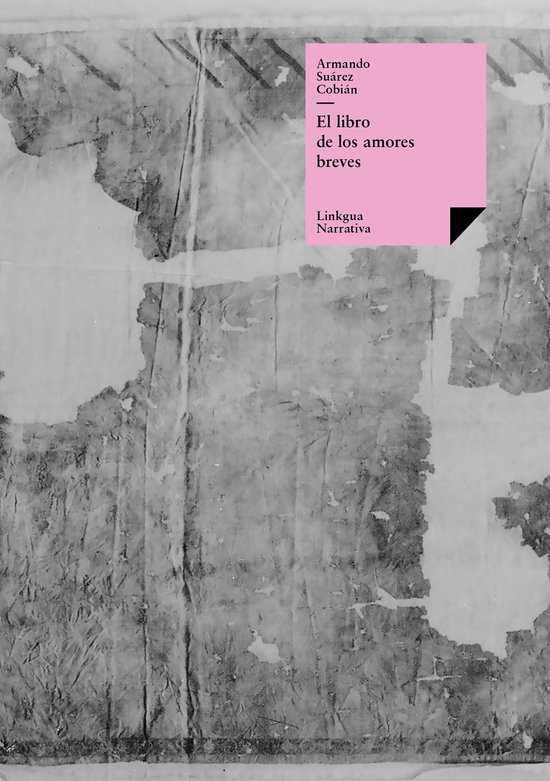 Narrativa 593 - El libro de los amores breves - cover