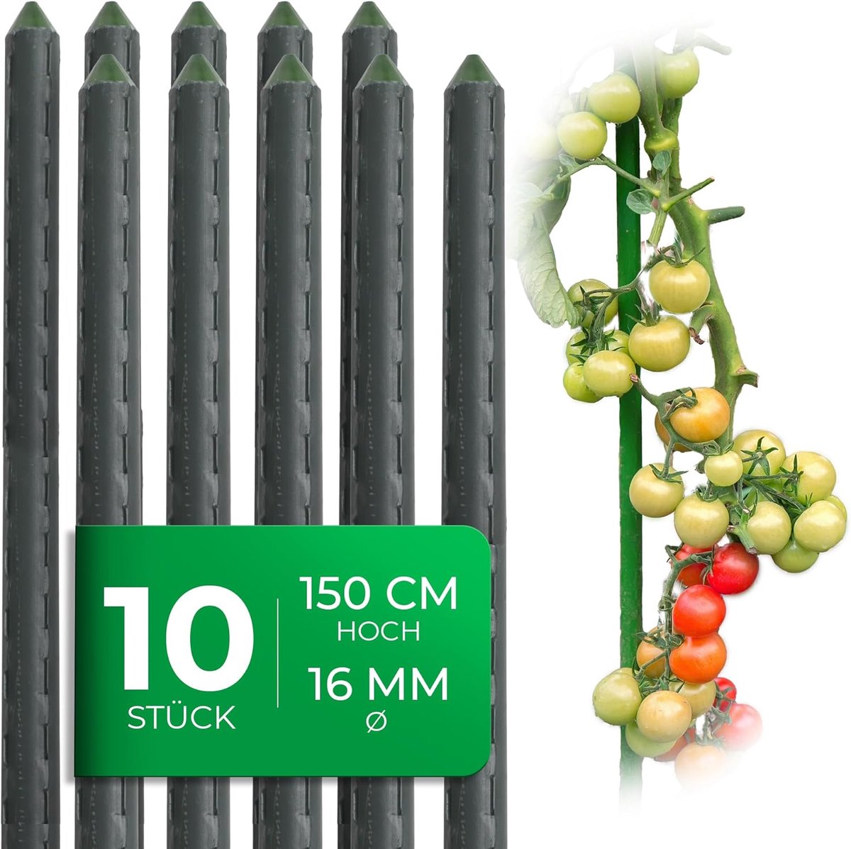10 stuks plantenstokken 150cm groen 16mm ? zeer stabiele metalen buis kunststof gecoate trellisstokken voor planten trellisondersteuning komkommers tomatenstokken voor klimplanten trellis plantenstok 150 cm