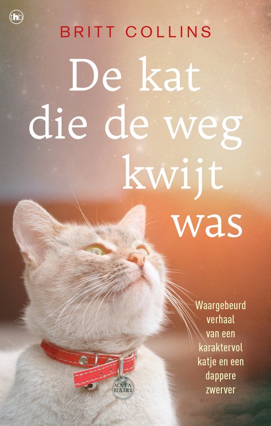 De kat die de weg kwijt was - cover