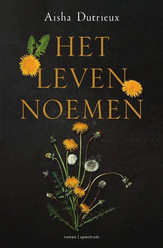Het leven noemen