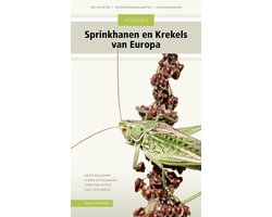 Omslag van Veldgids - Veldgids Sprinkhanen en krekels van Europa