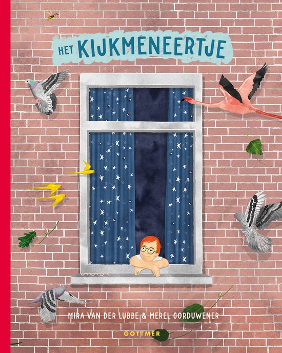 Voorplat van 'Het kijkmeneertje' met een jongen in een raam, een flamingo, duiven, bliksemschichten en een wesp.