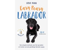 Easy Peasy Labrador