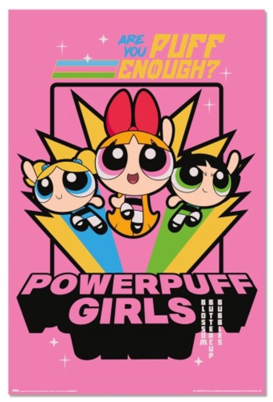 Poster Powerpuff Girls 61x91,5cm | bol