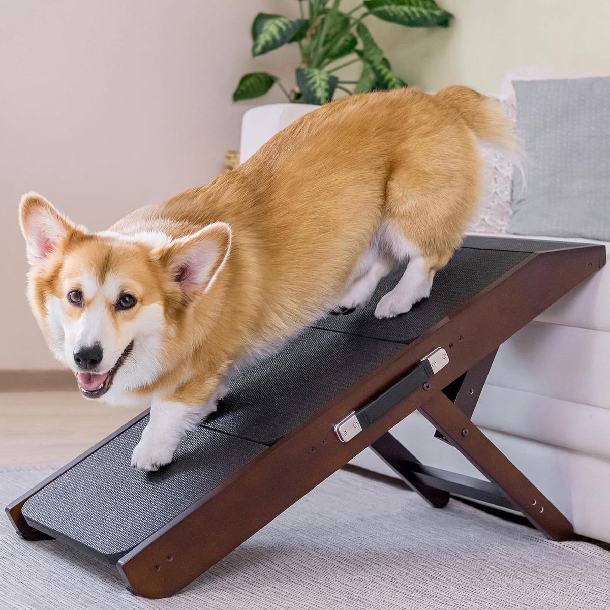 2-in-1 Dog Stairs/Walking Board - Height Adjustable for Sofa 18-50cm - Pet Stairs for Small Dogs - With Overflow Walnut
