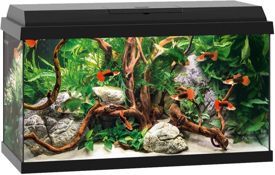 Juwel Primo Aquarium - 61 x 31 x 37 cm - 60 L - Zwart