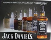 Wandbord - Jack Daniel's Bottle Evolution -30x40cm
