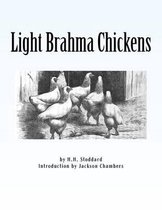 Light Brahma Chickens