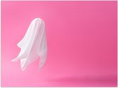 Poster – Wit Spookje op Roze Achtergrond - 40x30cm Foto op Posterpapier