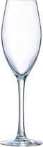Luminarc Felicity Champagneglas - 22 cl - Set-3