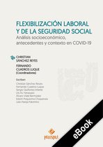 Flexibilización laboral y de la seguridad social