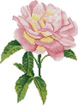 DDK5.069 Diamond Dotz® - Diamond painting volwassenen - Diamond painting met lijst - Bloemen - Roze roos 27 x 35cm - Ronde steentjes - Volledig pakket