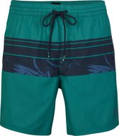 O'Neill Sportzwembroek Cali Stripe - Green With Blue - L