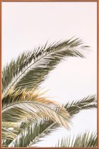 JUNIQE - Poster met kunststof lijst Oasis Palm 3 -60x90 /Groen