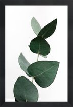 JUNIQE - Poster in houten lijst Eucalyptus 4 -20x30 /Groen