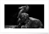 JUNIQE - Poster Frolicking Elephant -20x30 /Zwart