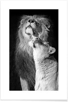 JUNIQE - Poster Verliefde leeuwen - zwart-wit foto -60x90 /Wit & Zwart