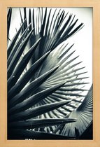 JUNIQE - Poster in houten lijst Palm Shade 2 -60x90 /Grijs & Groen