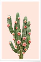 JUNIQE - Poster Cactusrozen foto -60x90 /Groen & Roze