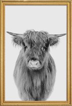 JUNIQE - Poster met houten lijst Young Highland Cow Classic -60x90