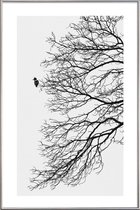 JUNIQE - Poster met kunststof lijst Winter Bird -40x60 /Grijs & Wit