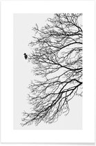 JUNIQE - Poster Winter Bird -60x90 /Grijs & Wit