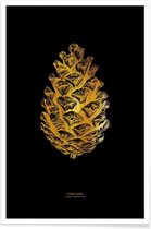 JUNIQE - Poster Pinecone gouden -30x45 /Goud & Zwart