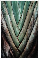 JUNIQE - Poster in kunststof lijst Travellers Palm -40x60 /Groen &