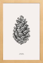 JUNIQE - Poster met houten lijst Pinecone -13x18 /Grijs & Ivoor