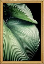 JUNIQE - Poster met houten lijst Sharp Palm -40x60 /Groen