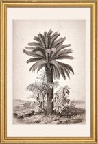 JUNIQE - Poster met houten lijst Sago Palm -20x30 /Grijs & Ivoor