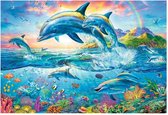 Dolphin Family -  Puzzle 1,500 pieces