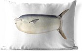 Buitenkussens - Tuin - Maanvis op een witte achtergrond - 50x30 cm
