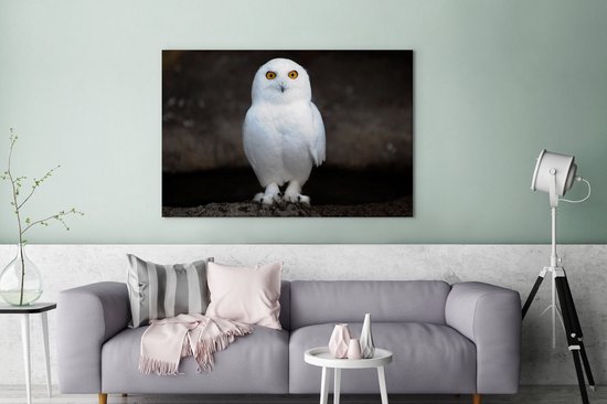 Portrait d'un harfang des neiges sur fond sombre Toile 120x80 cm - Tirage photo sur toile (Décoration murale salon / chambre)