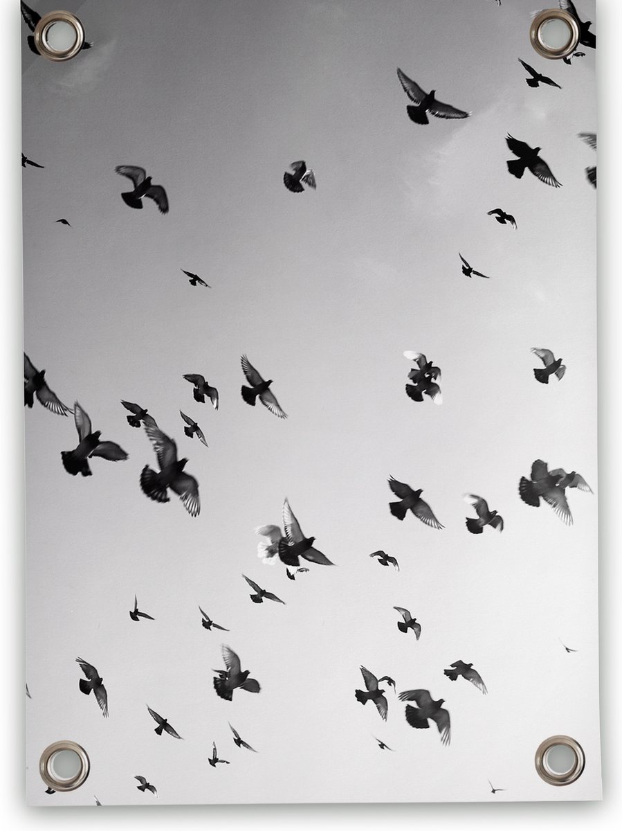 Villa Madelief Tuinposter Vogels zwart wit - 50x70cm - Vinyl - Tuindecoratie - Tuinschilderij - Schuttingposter - Tuindoek - Buitenposter voor in de tuin - Waterafstotend - Organische Collectie