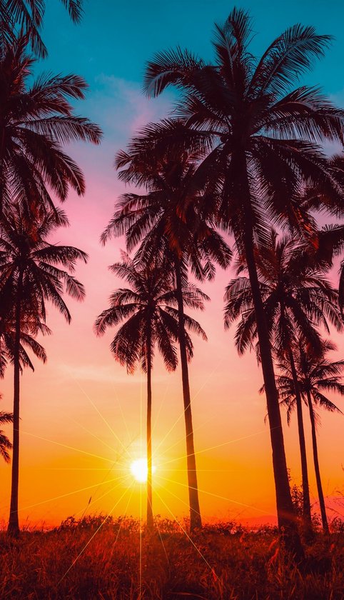 Good Morning Strandlaken "palmbomen" - Multi - (100x180 cm) - Microfiber