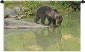 Wandkleed Drinkende beren - Zwarte beer drinkt drink uit een meer Wandkleed katoen 120x80 cm - Wandtapijt met foto