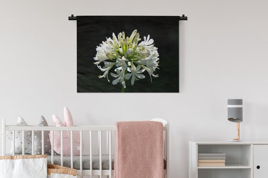 Tapisserie Plantes sur fond noir - Un agapanthe blanc en fleurs sur fond sombre Tapisserie en coton 90x67 cm - Tapisserie avec photo