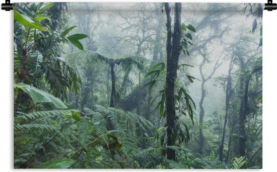 Wandkleed Diep in de jungle - Mistig regenwoud in Costa Rica Wandkleed katoen 120x80 cm - Wandtapijt met foto