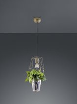 TRIO - Hanglamp Plant Nikkel Ø 22 cm