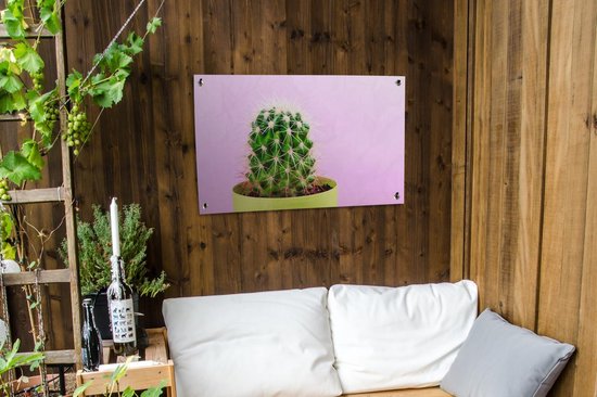 Cactus en pot sur fond rose affiche de jardin toile en vrac 90x60 cm - Toile de jardin / Toile d'extérieur / Peintures d'extérieur (décoration de jardin)