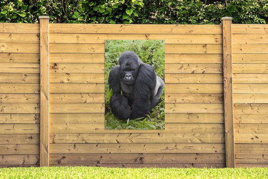 Un Gorilla promène dans les feuilles vertes Affiche de jardin 80x120 cm - Toile de jardin / Toile d'extérieur / Peintures pour l'extérieur (décoration de jardin)