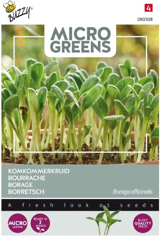 Buzzy® Microgreens, Borage (komkommerkruid) - Buzzy Seeds