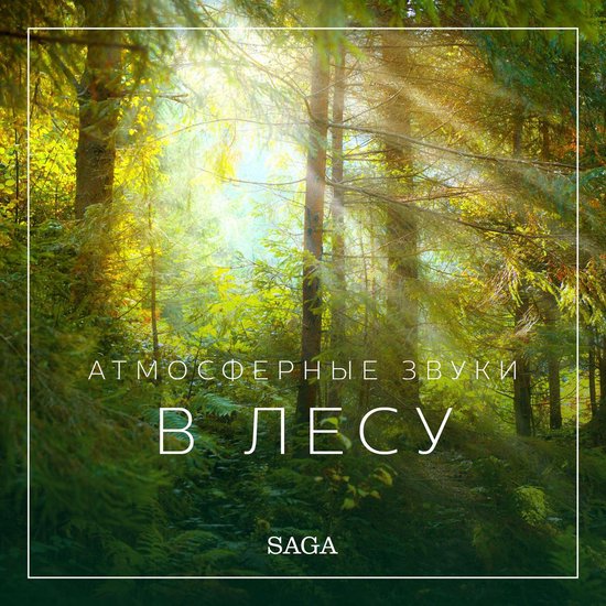 Атмосферные звуки – В лесу - cover