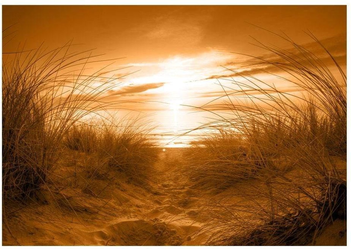 Fotobehang - Strand Sepia 100x70cm - Vliesbehang